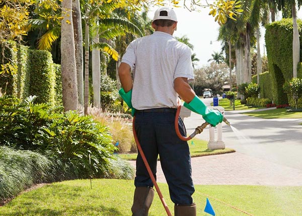 About Media PA Pest Control Pros